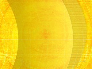 平台全方位解析